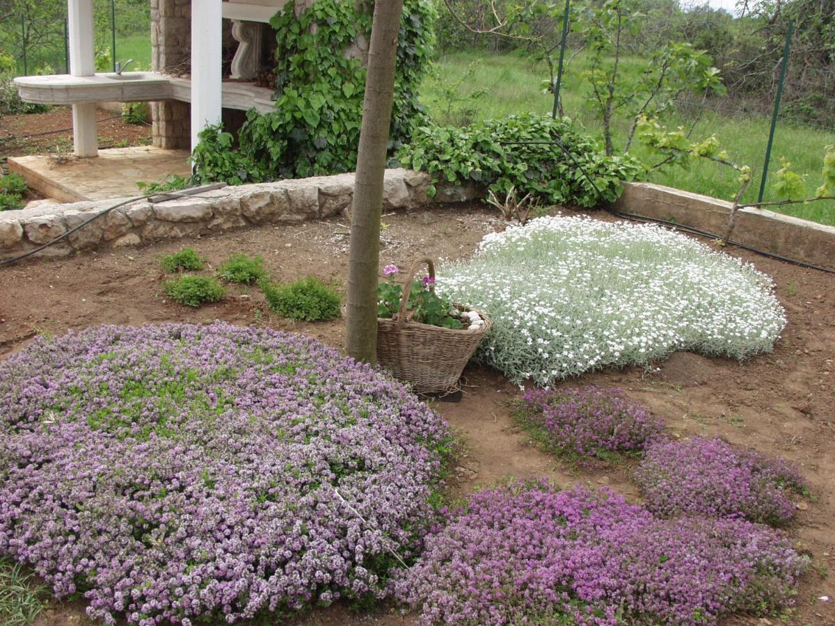 Holiday House "Lea" Lukoran Екстер'єр фото